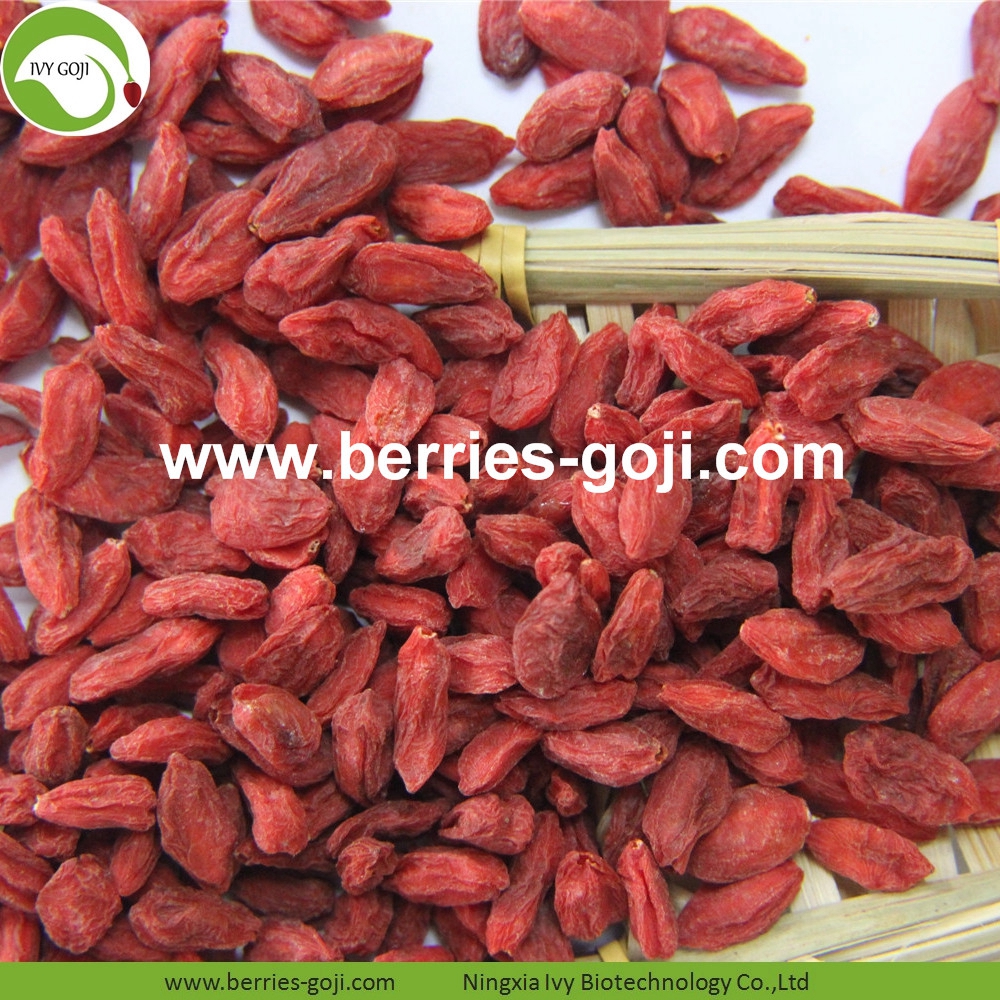 goji berry