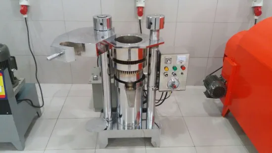 Newest Large Capacity Cold Press Cocoa Butter Hydraulic Oil Presser Hydraulic Sesame Oil Press Machine
