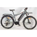 Ebike kargo