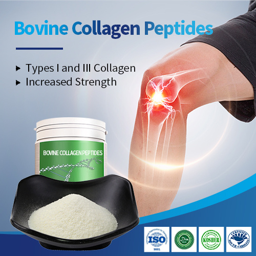 High Purity Bovine Collagen Peptides Anti-Aging Collagen Peptide Bovine Collagen Protein Supplier