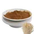 Herbal Extract Food Grade Chaga Mushroom Powder
