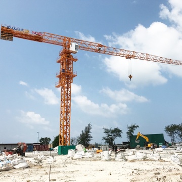 QTZ250 QTZ250 (7025) Tower Crane untuk dijual