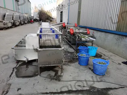 Zibounique Mung Bean Sprout Husk Removal Machine