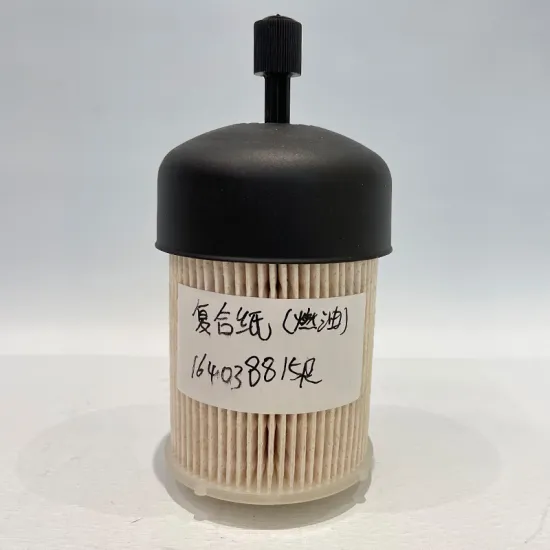 Auto Parts China Manufacturer - Fuel Filter Filtro Gasolina 164038815R 164037803R for Nissan NOTE