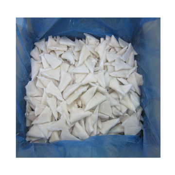 japanese flying squid tip detail,high quality raw squid tips,hot sale frozen squid tip