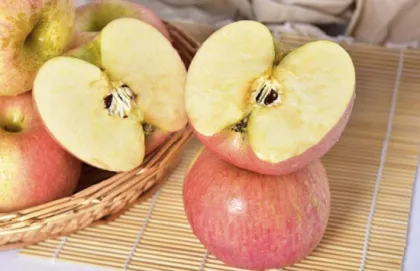 High Yield And Quality Red Fuji Apple