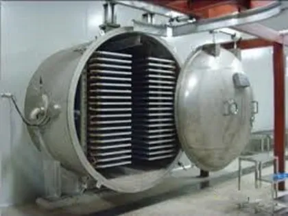 Persimmon cryogenic vacuum freeze dryer