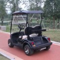 Carrito de golf a gasolina personalizado de alto rendimiento