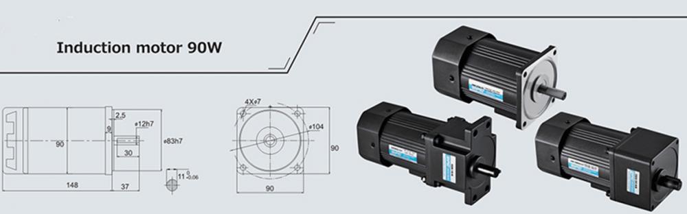 90w Induction Ac Motor