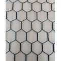 Chien hexagonal Mois de fil / PVC revêtu de fil hexagonal revêtu