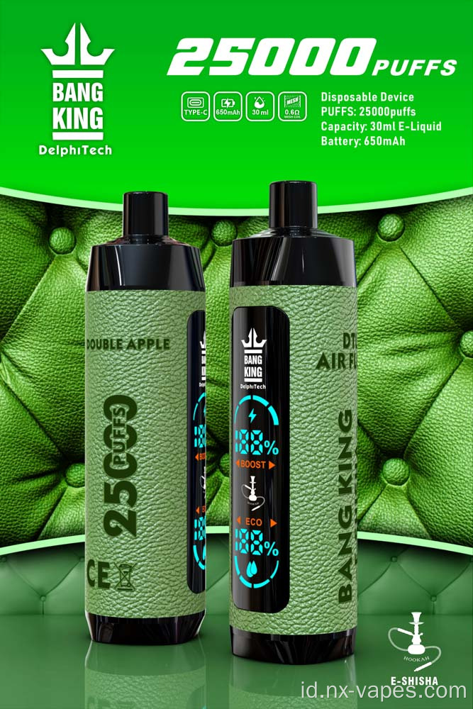 Bang King Shisha 25000 Puffs Disposable Vape Price