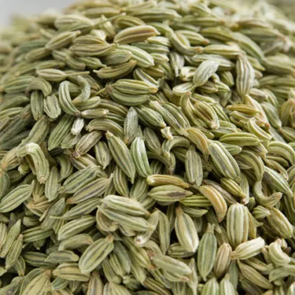foeniculi fructus xiao hui xiang herbal medicine