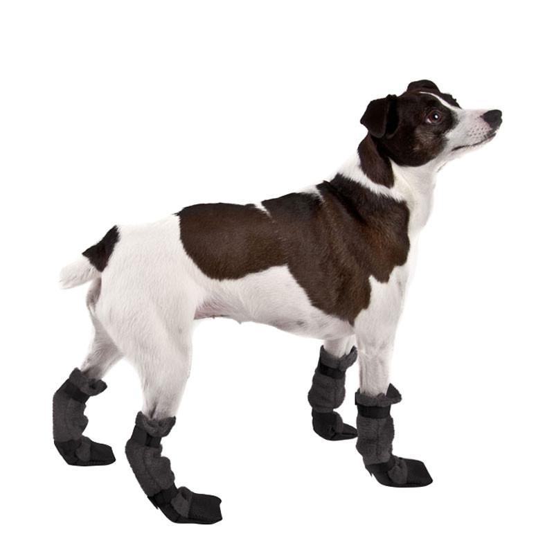 dog shoes brisbane dog shoes brisbane