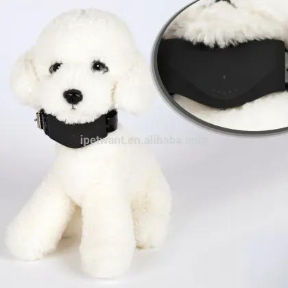 2016 new gms gps tracker pet collar with pet training collar