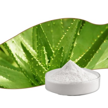 Aloe vera gel congelamento em pó seco