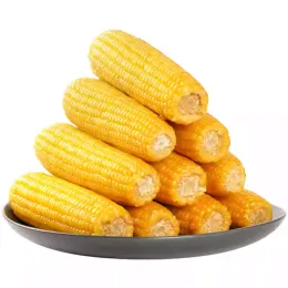 Yellow glutinous fresh corn