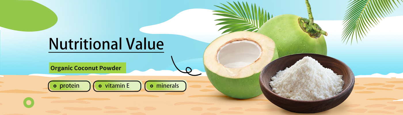 Organic coconut powder-2