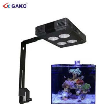 Wi -Fi Aquarium LED LEITO DE ÁGUALA SALTA LIME