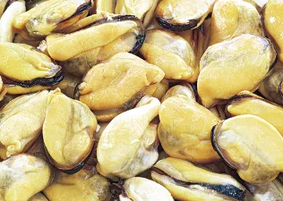 Seafood frozen cooked mussel meat