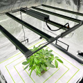 730Nm Far Red Led Grow Lights For Indoor