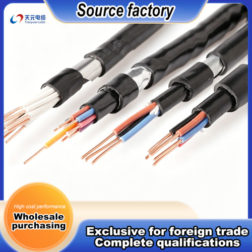 Güvenilir Kullanım için Bakır Çekirdekli Zırhlı Kontrol Kablosu