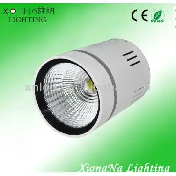LED Pandent Light , Downlight 14W , 1400LM  , CRI> 85%  , PF>95%