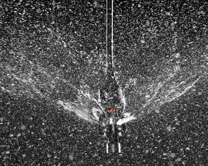 animal husbandry tools