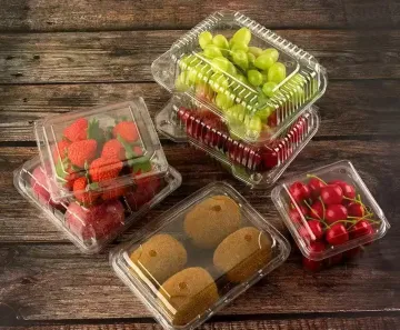Food Grade Clear Plastic Blister Packaging Container