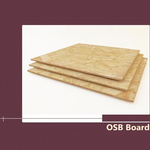 Kelas pertama Lembaga OSB Poplar 12mm