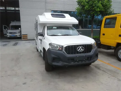DATONG 3-4 family Manual/automatic gear motor home