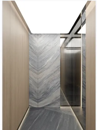 Home and Villa Elevator Lifts
