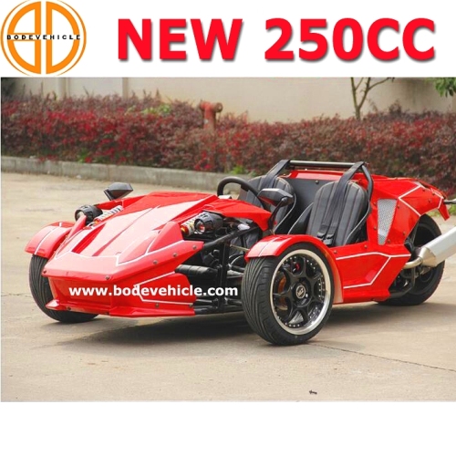 Bode chất lượng yên tâm khí Roadster Ztr Trike 300cc for Sale