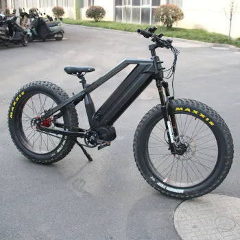 1000w Bafang M620 Electric Hybrid Bike with 5 Speeds and Belt Drive