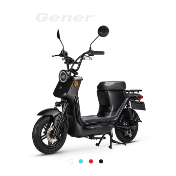 Electric Motorcycles: High-Speed, Adult-Friendly Two-Wheelers with 48V Systems and Dynamic Sports Performance