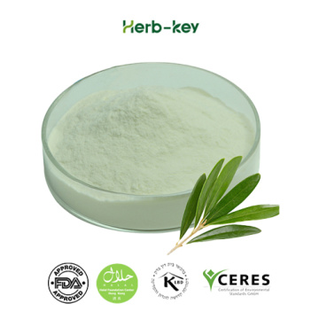 Herbal Extract Natural Oleanolic Acid