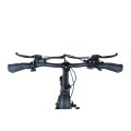 XY-Tank Fixed Touring E-Bike Hersteller