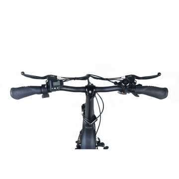 XY-Tank Fixed Touring E-Bike Hersteller