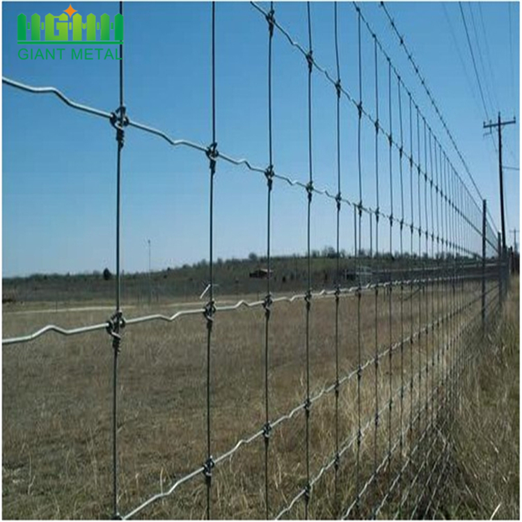 Galvanized veldspan wire sheep fixed knot field fencing