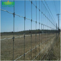 Galvanized veldspan wire sheep fixed knot field fencing