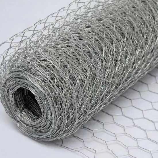 Hot Sale PVC Coated Hexagonal Chicken Wire Mesh - 50m Roll