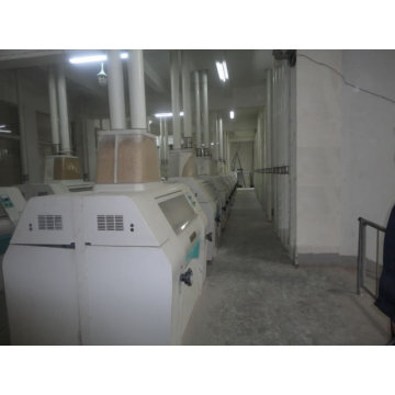 300-1000ton/D Wheat Flour Machine
