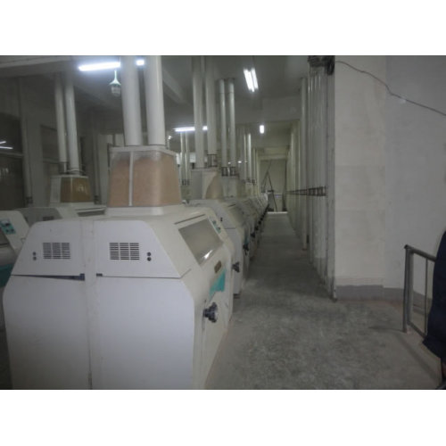 300-1000ton/D Wheat Flour Machine