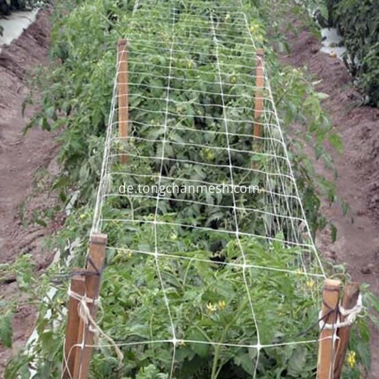 Plant Support Net 