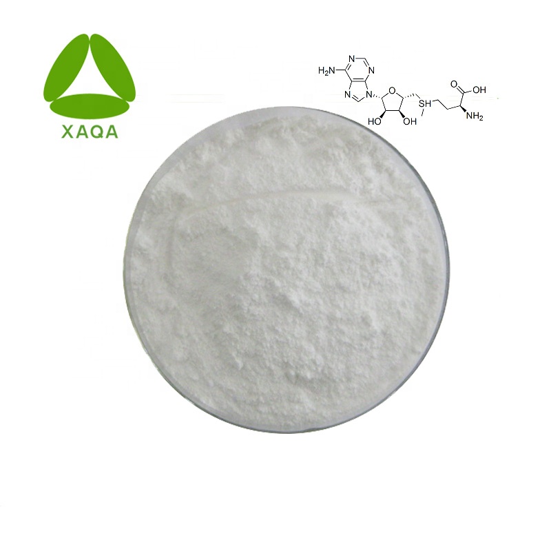 Poudre de monophosphate d'adénosine CAS 67583-85-1 Prix