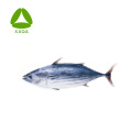 Aquatic Extract Animal Peptides Bonito Пептидный порошок