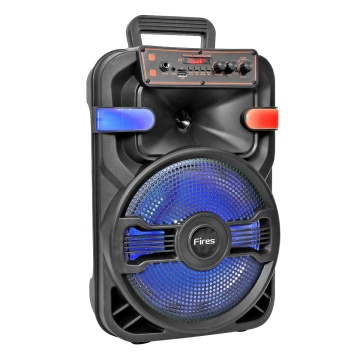 BT Audio Amplifier & Party Box Speakers with FM Radio