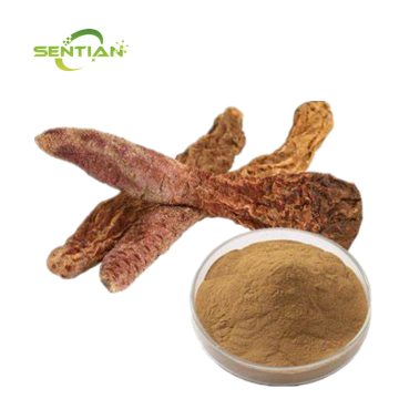Healthcare Supplement Cynomorium extract