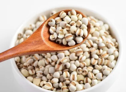 Premium Coix Seed Hongye Farm Tonic Grain