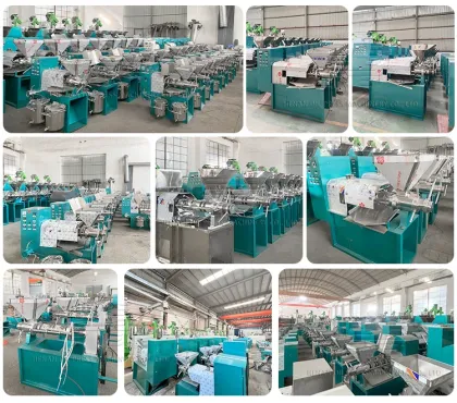 Safflower Oil Expeller Machine: Home Use Oil Production Equipment