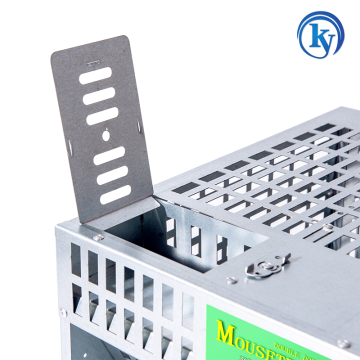 Walk the Plank Mouse Rat Trap with Baits